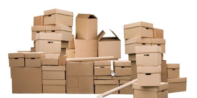 Archive Storage Boxes